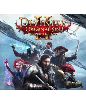 Divinity: Original Sin 2 Definitive Edition Steam Key GLOBAL